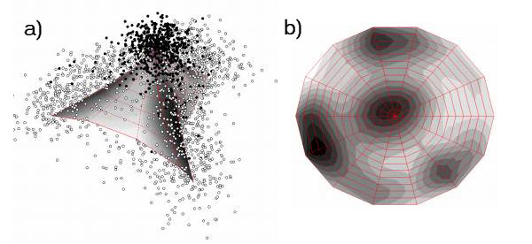 ���������� ������ ������� ���� ��� ������������ � ������� ������������� ����������� ������: �) - ������������ ���� � ������� �����, ������������ ������ (����� Prototheca wickerhamii): ������������ � ��������������� ���� ������ ������� ���������; �) - ������������ ��������� ������������� ����� �� ���������� ����������� ������� �����: ����������� ������� ������������� ������������ ��������, ��� ������� �������� - �����-���������� �������� � ���� ������ �����.